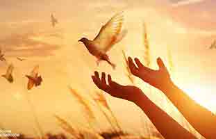 هل الوظيفه قدر أم اختيار؟