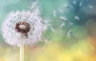 رغم أزمة انفصالي عن حبيبي استطعت تحقيق حلمي وأصبحت طبيبة