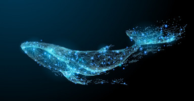 الحوت في المنام وتفسير رؤية الحيتان في الحلم بالتفصيل