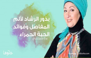بذور الرشاد لألم المفاصل وفوائد الحبة الحمراء للحامل مع د.سمر بدوي